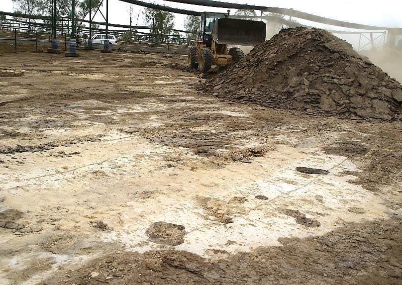 Cow Manure (m3) - Image 3