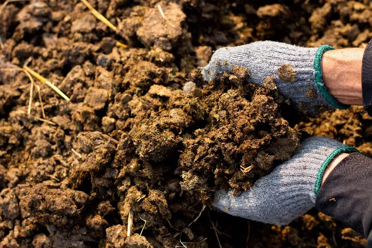 Horse Manure (m3) - Image 2