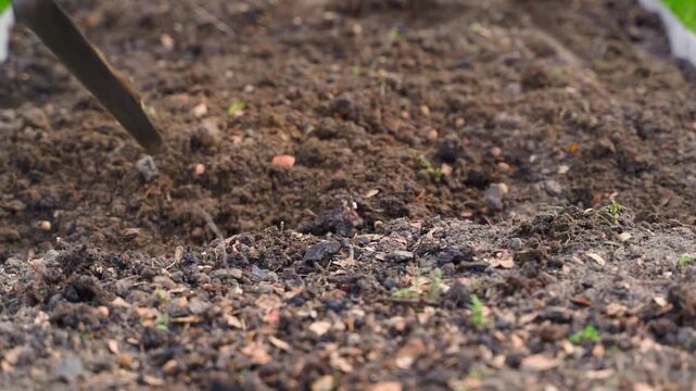 Chicken Manure $130 a m3
