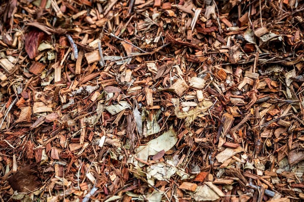 Forest Mulch $60 a m3
