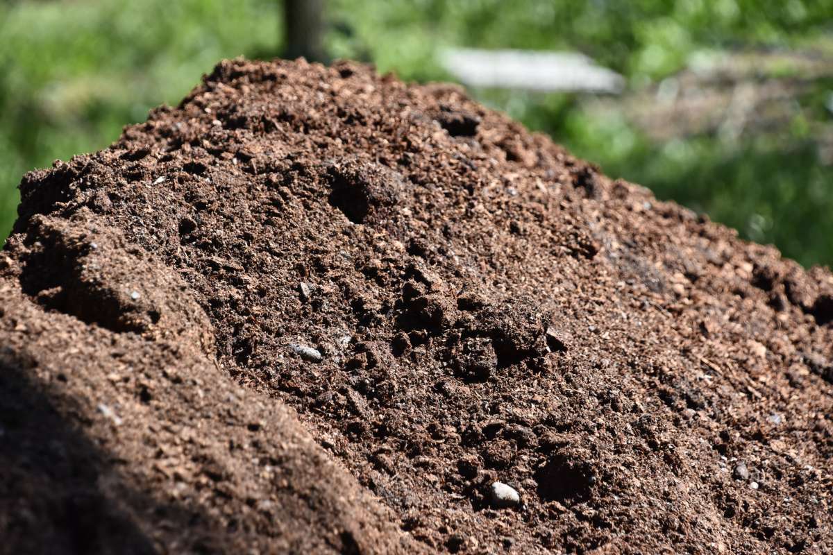 Chicken Manure (m3) - Image 2