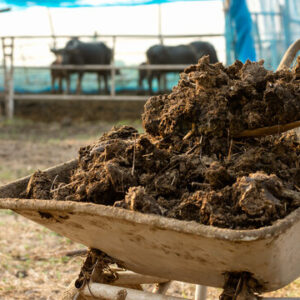 Pig Manure $130 a m3