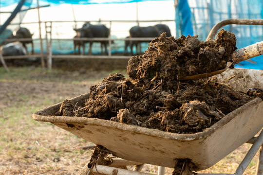 Pig Manure $130 a m3