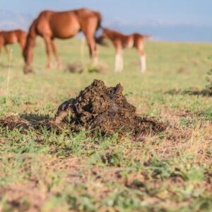 Horse Manure (m3)