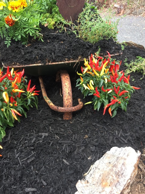 Black Cypress Mulch (m3) - Image 2