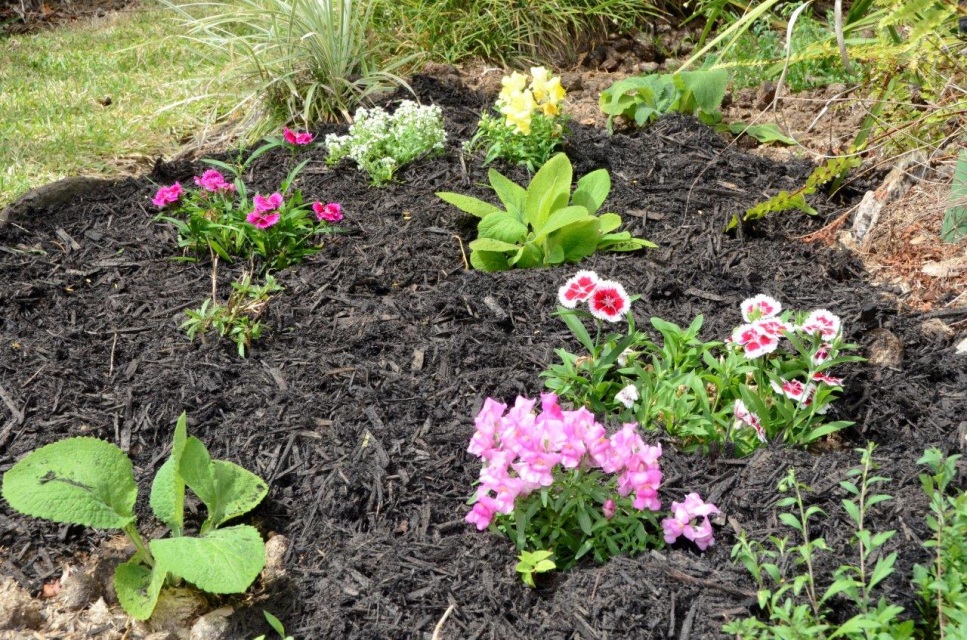Black Cypress Mulch (m3) - Image 6