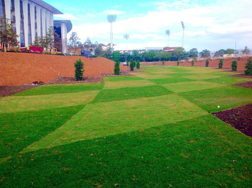 Orange Cypress Mulch (m3) - Image 3