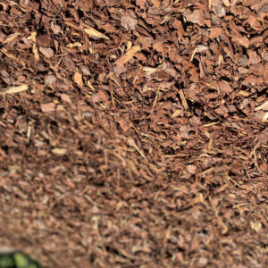 Slash Pine 25 mm $175/m³