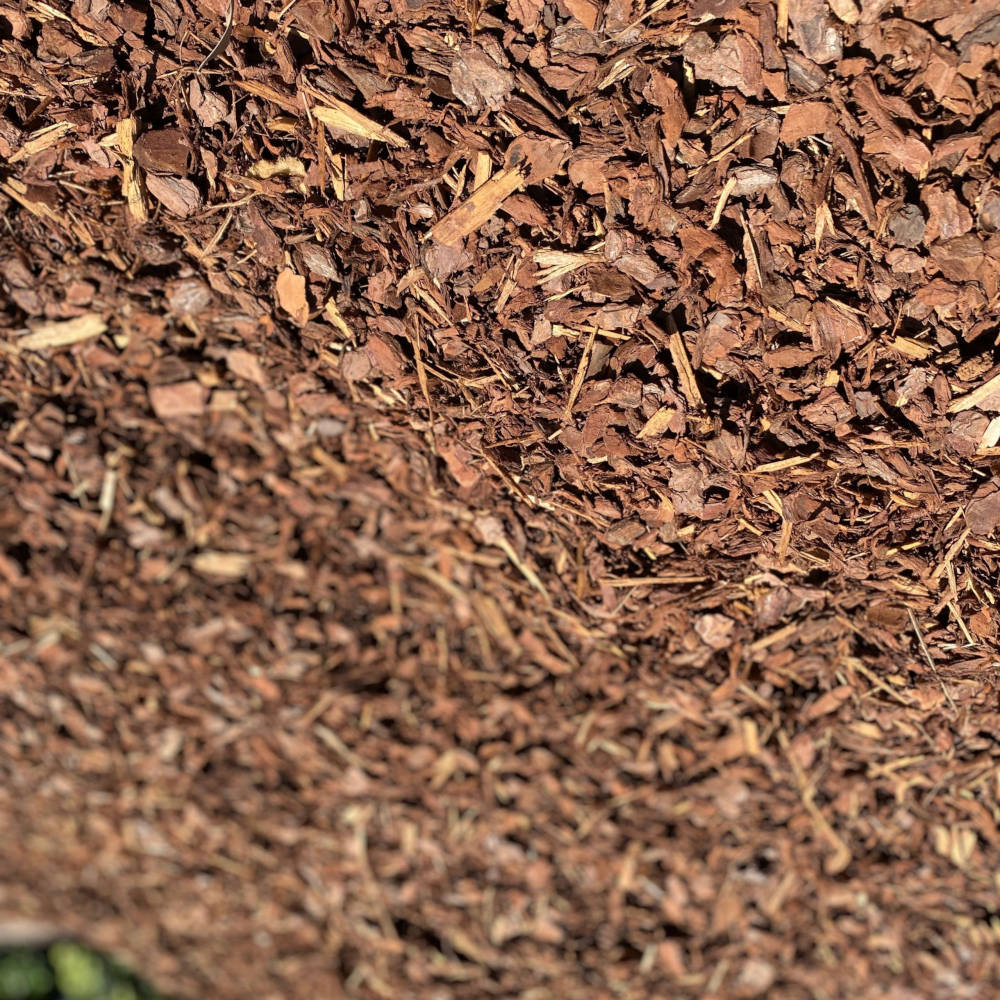 Slash Pine 25 mm $175/m³